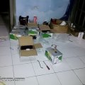 lagi packing,,